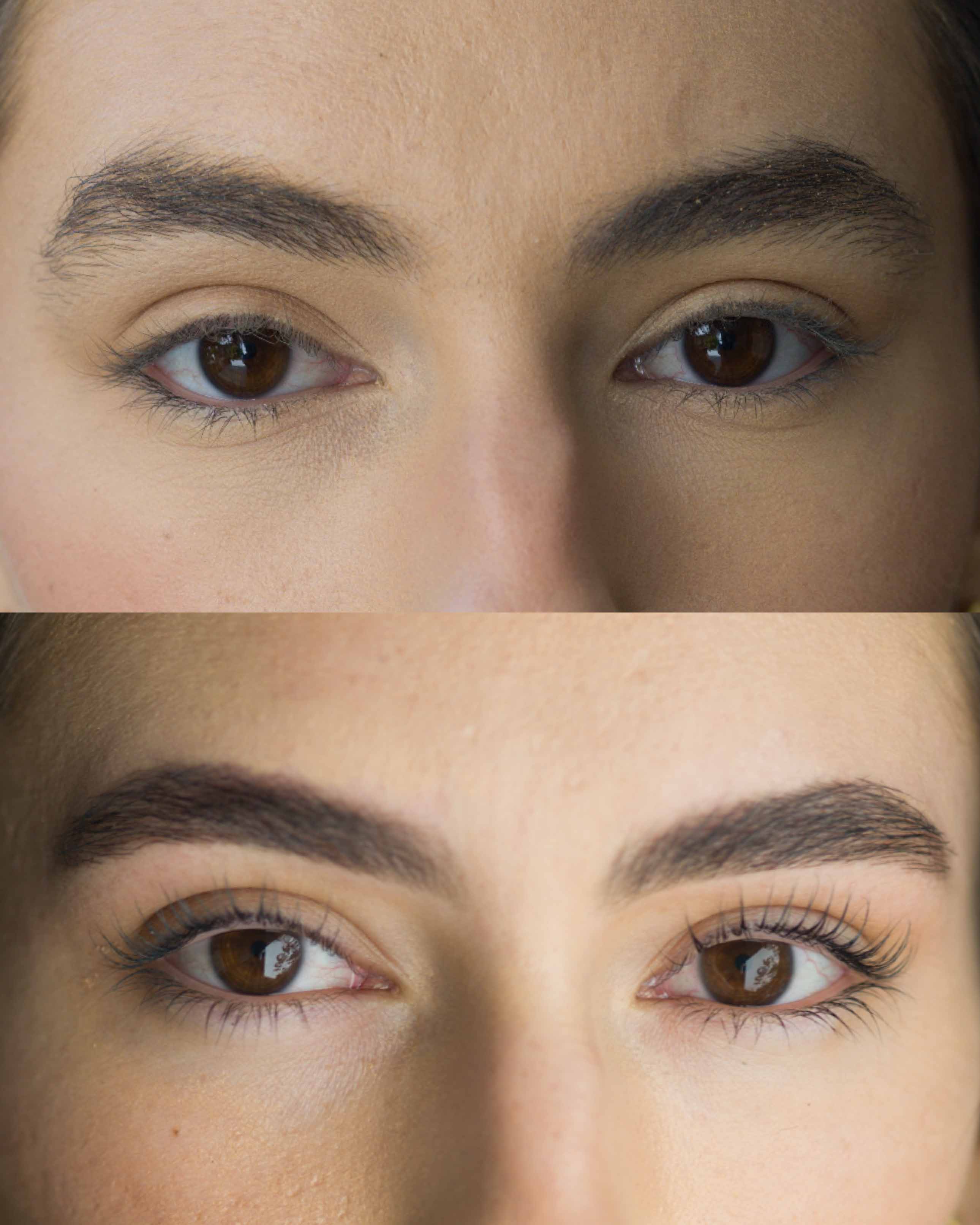 Organic Treatment + Tint + Shaping